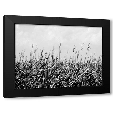 Dune Triptych III Black Modern Wood Framed Art Print with Double Matting by Pica, Jeff