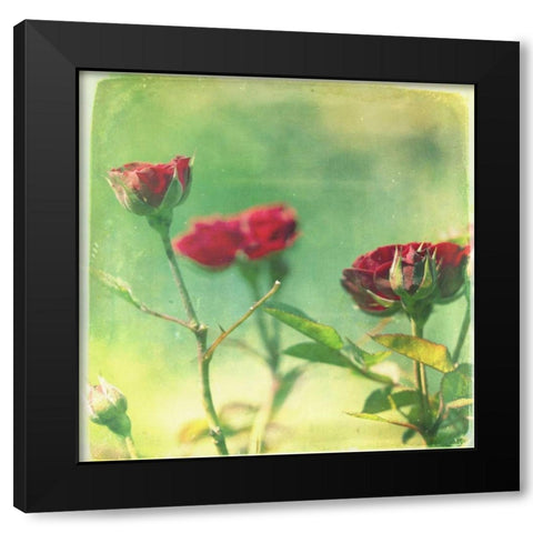 Waiting on Purple II Black Modern Wood Framed Art Print by Jorgensen, Jennifer