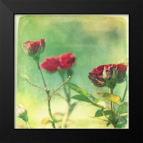 Waiting on Purple II Black Modern Wood Framed Art Print by Jorgensen, Jennifer