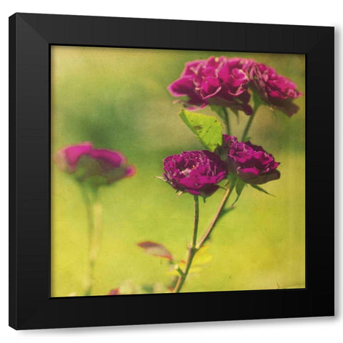 Waiting on Purple IV Black Modern Wood Framed Art Print with Double Matting by Jorgensen, Jennifer