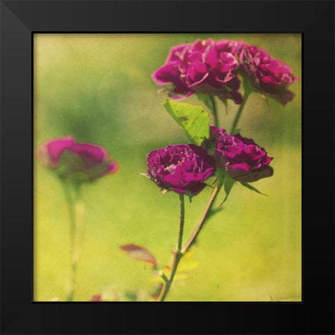 Waiting on Purple IV Black Modern Wood Framed Art Print by Jorgensen, Jennifer