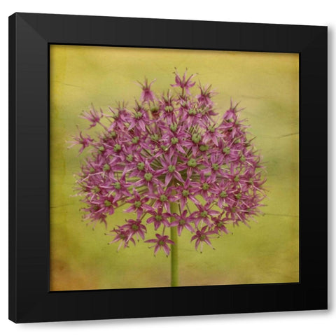 Waiting on Purple V Black Modern Wood Framed Art Print by Jorgensen, Jennifer