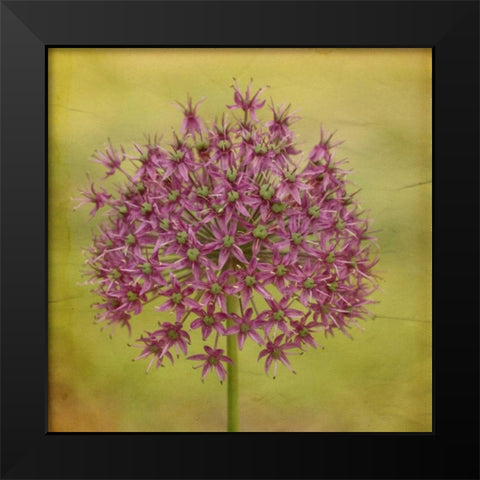 Waiting on Purple V Black Modern Wood Framed Art Print by Jorgensen, Jennifer