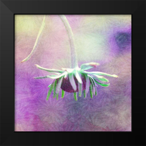 Waiting on Purple VI Black Modern Wood Framed Art Print by Jorgensen, Jennifer