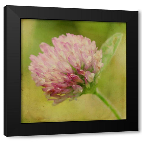 Waiting on Purple VII Black Modern Wood Framed Art Print by Jorgensen, Jennifer