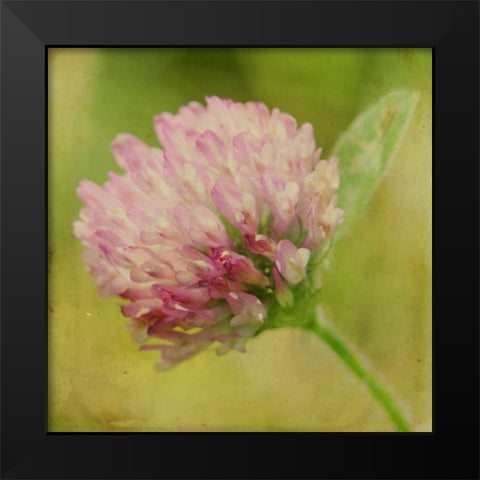 Waiting on Purple VII Black Modern Wood Framed Art Print by Jorgensen, Jennifer