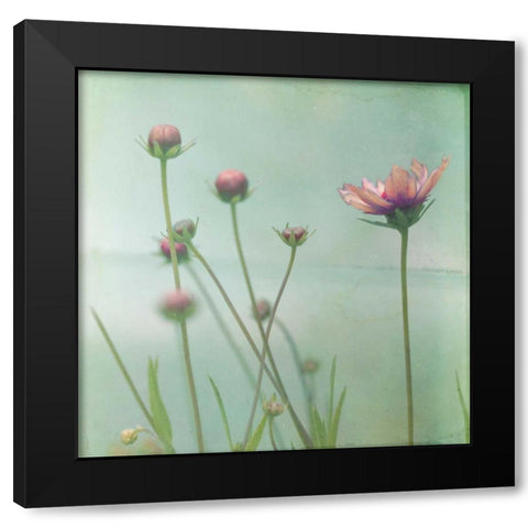 Waiting on Purple VIII Black Modern Wood Framed Art Print by Jorgensen, Jennifer