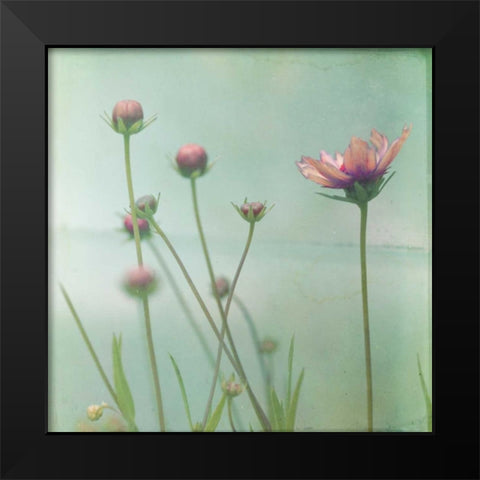 Waiting on Purple VIII Black Modern Wood Framed Art Print by Jorgensen, Jennifer