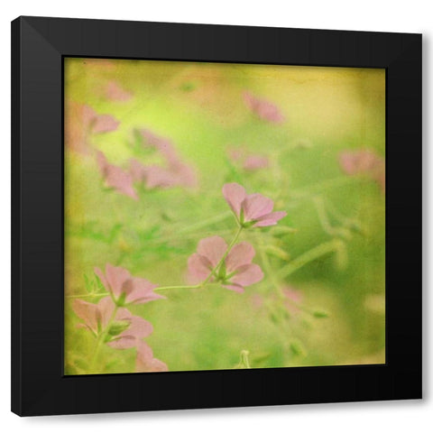 Waiting on Purple IX Black Modern Wood Framed Art Print by Jorgensen, Jennifer