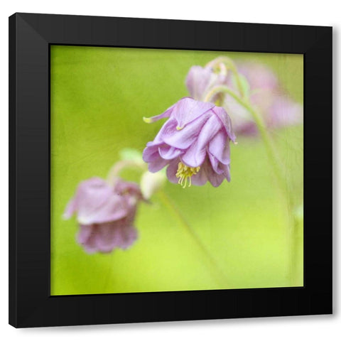 Waiting on Purple X Black Modern Wood Framed Art Print with Double Matting by Jorgensen, Jennifer