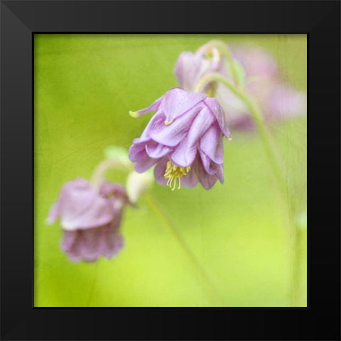 Waiting on Purple X Black Modern Wood Framed Art Print by Jorgensen, Jennifer