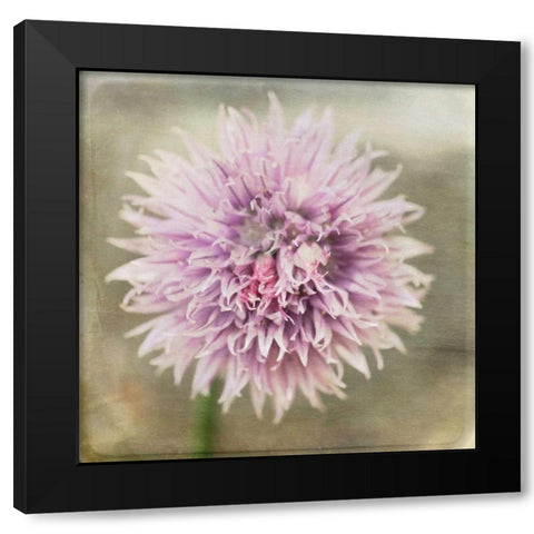 Waiting on Purple XII Black Modern Wood Framed Art Print by Jorgensen, Jennifer