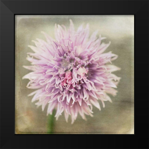 Waiting on Purple XII Black Modern Wood Framed Art Print by Jorgensen, Jennifer