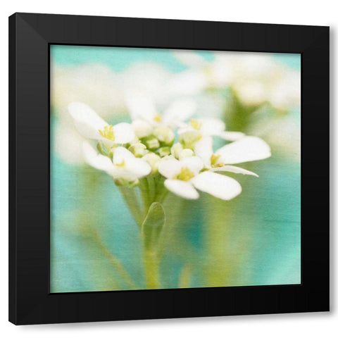 White Flowers I Black Modern Wood Framed Art Print by Jorgensen, Jennifer