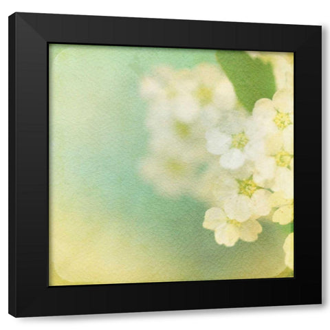 White Flowers II Black Modern Wood Framed Art Print by Jorgensen, Jennifer