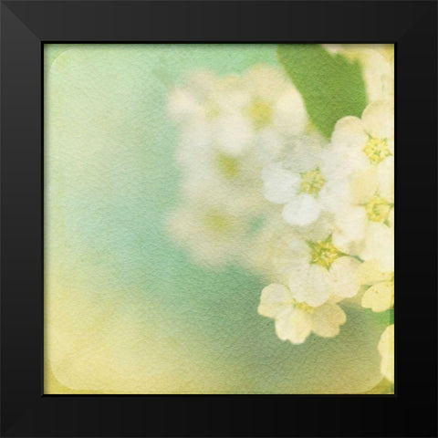 White Flowers II Black Modern Wood Framed Art Print by Jorgensen, Jennifer