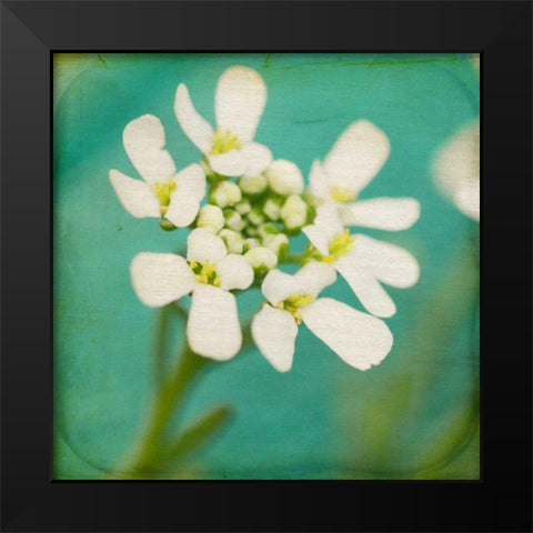 White Flowers III Black Modern Wood Framed Art Print by Jorgensen, Jennifer