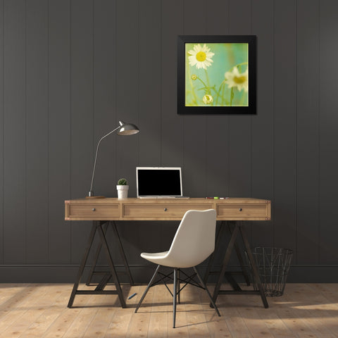 White Flowers IV Black Modern Wood Framed Art Print by Jorgensen, Jennifer