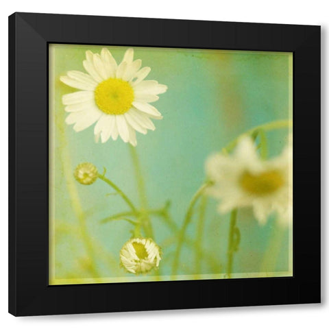 White Flowers IV Black Modern Wood Framed Art Print by Jorgensen, Jennifer