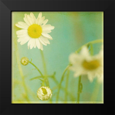 White Flowers IV Black Modern Wood Framed Art Print by Jorgensen, Jennifer