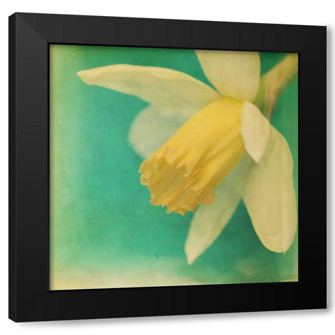 White Flowers V Black Modern Wood Framed Art Print with Double Matting by Jorgensen, Jennifer