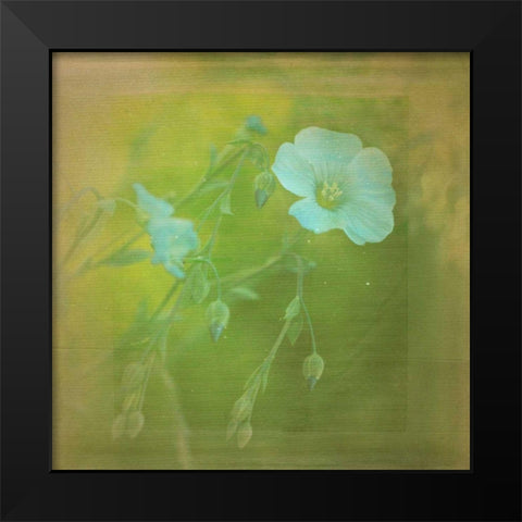 White Flowers VI Black Modern Wood Framed Art Print by Jorgensen, Jennifer