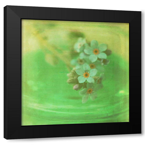 White Flowers VII Black Modern Wood Framed Art Print by Jorgensen, Jennifer