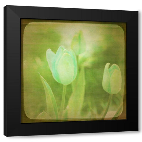 White Flowers VIII Black Modern Wood Framed Art Print with Double Matting by Jorgensen, Jennifer