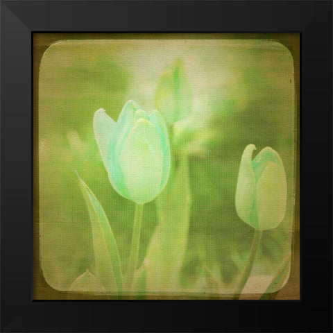 White Flowers VIII Black Modern Wood Framed Art Print by Jorgensen, Jennifer