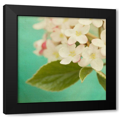 White Flowers IX Black Modern Wood Framed Art Print by Jorgensen, Jennifer