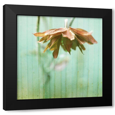 Dream in Pink II Black Modern Wood Framed Art Print by Jorgensen, Jennifer