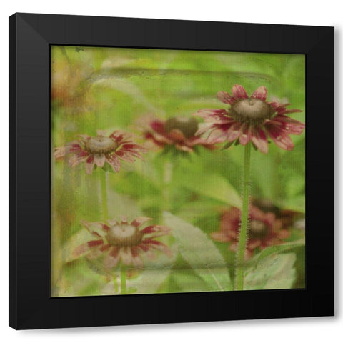 Dream in Pink III Black Modern Wood Framed Art Print with Double Matting by Jorgensen, Jennifer