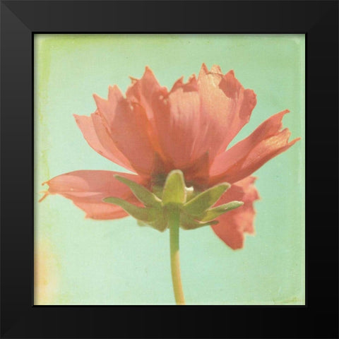 Dream in Pink VII Black Modern Wood Framed Art Print by Jorgensen, Jennifer