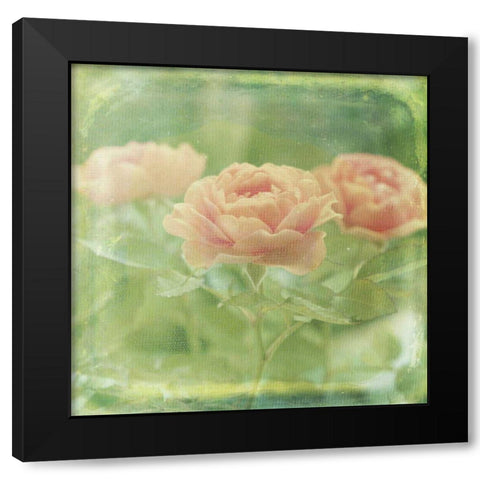 Dream in Pink X Black Modern Wood Framed Art Print by Jorgensen, Jennifer