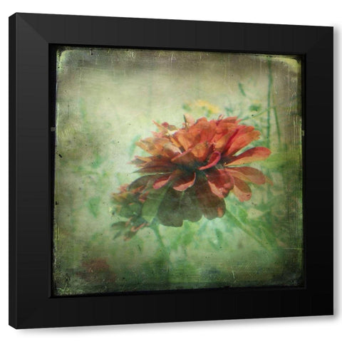 Dream in Pink XI Black Modern Wood Framed Art Print with Double Matting by Jorgensen, Jennifer