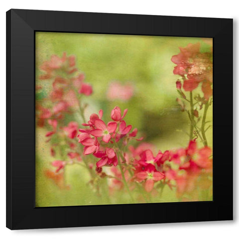 The Moment II Black Modern Wood Framed Art Print with Double Matting by Jorgensen, Jennifer