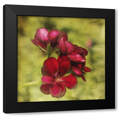 The Moment V Black Modern Wood Framed Art Print by Jorgensen, Jennifer