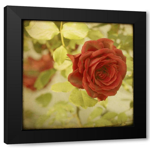 The Moment VI Black Modern Wood Framed Art Print by Jorgensen, Jennifer