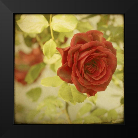 The Moment VI Black Modern Wood Framed Art Print by Jorgensen, Jennifer