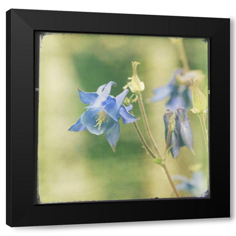 Pastel Paths V Black Modern Wood Framed Art Print by Jorgensen, Jennifer