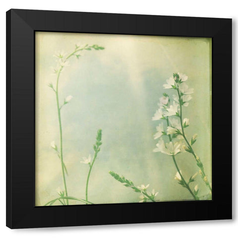 Pastel Paths IX Black Modern Wood Framed Art Print by Jorgensen, Jennifer