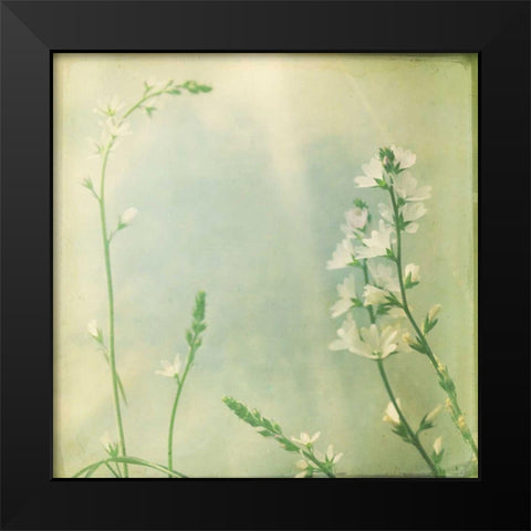 Pastel Paths IX Black Modern Wood Framed Art Print by Jorgensen, Jennifer