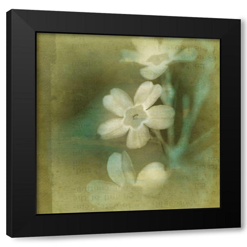 Pastel Paths X Black Modern Wood Framed Art Print with Double Matting by Jorgensen, Jennifer