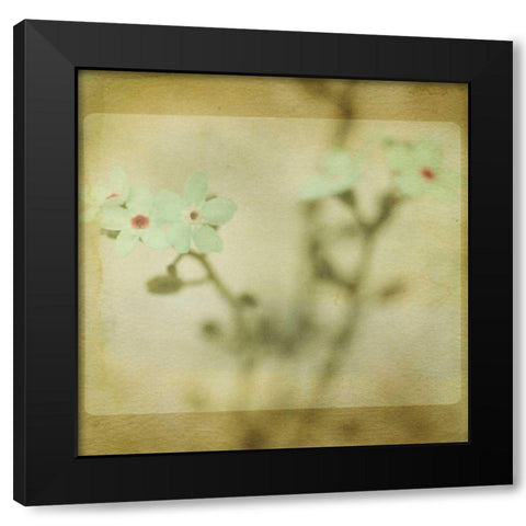 Pastel Paths XI Black Modern Wood Framed Art Print by Jorgensen, Jennifer
