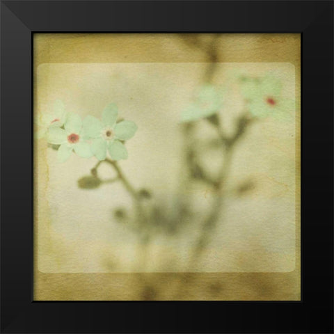 Pastel Paths XI Black Modern Wood Framed Art Print by Jorgensen, Jennifer