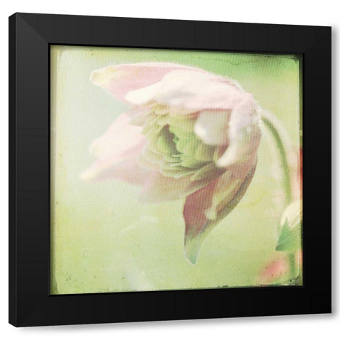 Pastel Paths XII Black Modern Wood Framed Art Print with Double Matting by Jorgensen, Jennifer