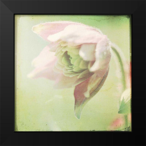 Pastel Paths XII Black Modern Wood Framed Art Print by Jorgensen, Jennifer