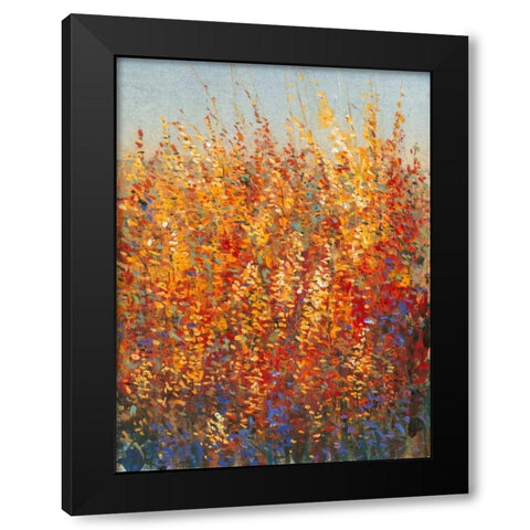 High Desert Blossoms I Black Modern Wood Framed Art Print with Double Matting by OToole, Tim