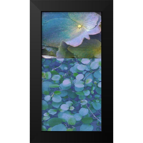 Hydrangea Mix I Black Modern Wood Framed Art Print by Mountain, Ricki