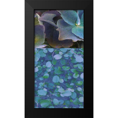 Hydrangea Mix II Black Modern Wood Framed Art Print by Mountain, Ricki